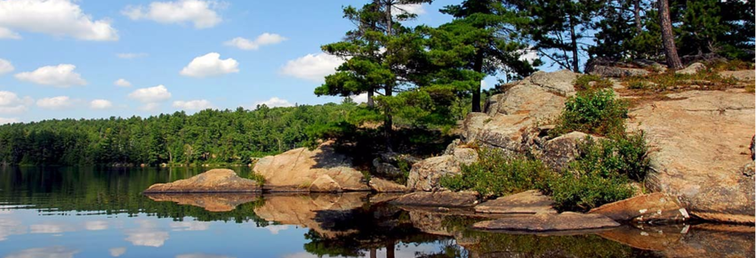 The Pines Of Kabetogama Resort Kabetogama Mn 3