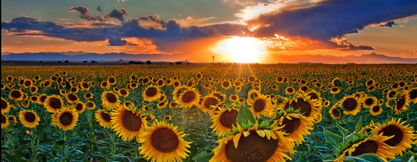 Sleepy Sunflower Rv Park  Formerly Open Corral Campground  Ogallala Ne 1