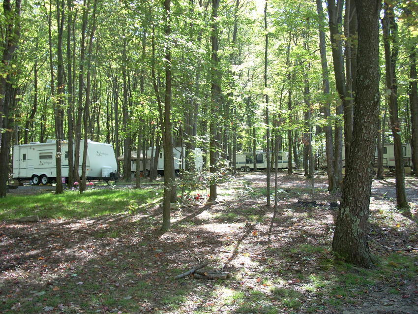 Pinehill Campground Hazelton Wv 0