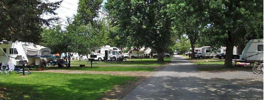 Black Bear Campground Salisbury Ma 2