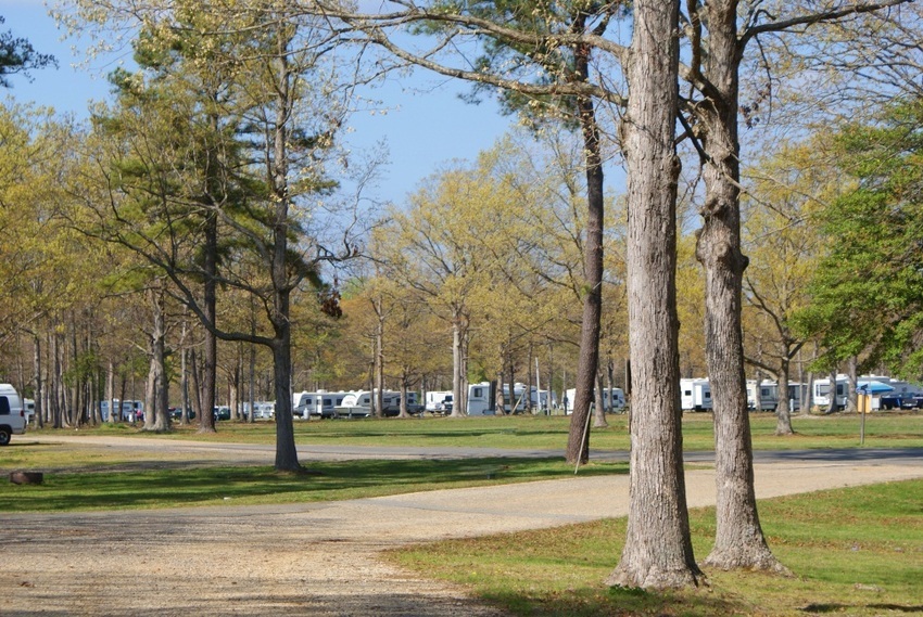 Take It Easy Campground Callaway Md 0