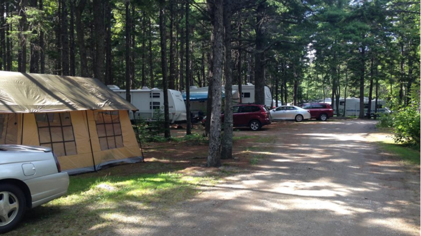 Sherwood Forest Campsite New Harbor Me 0