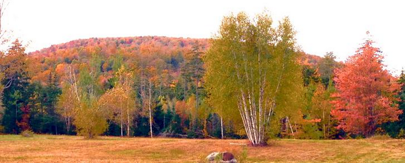 Groton Forest Road Campground Marshfield Vt 2