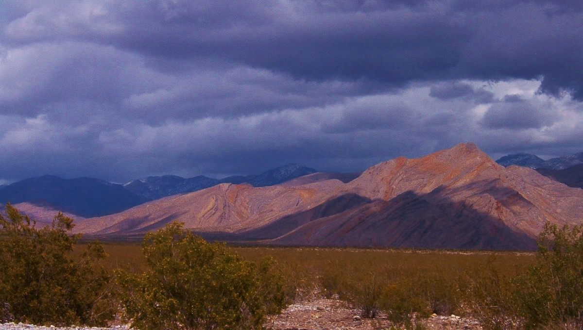 Wine Ridge Rv Resort   Cottages Pahrump Nv 2