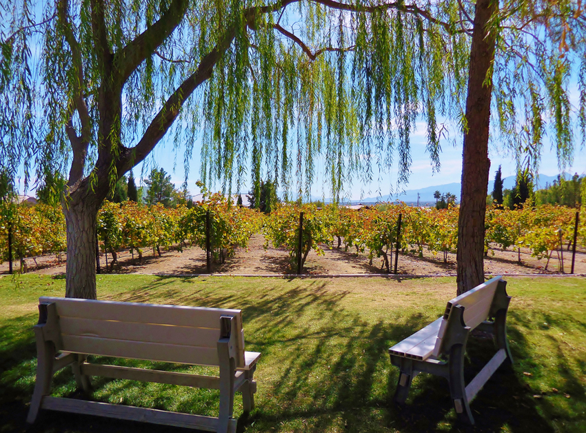 Wine Ridge Rv Resort   Cottages Pahrump Nv 5