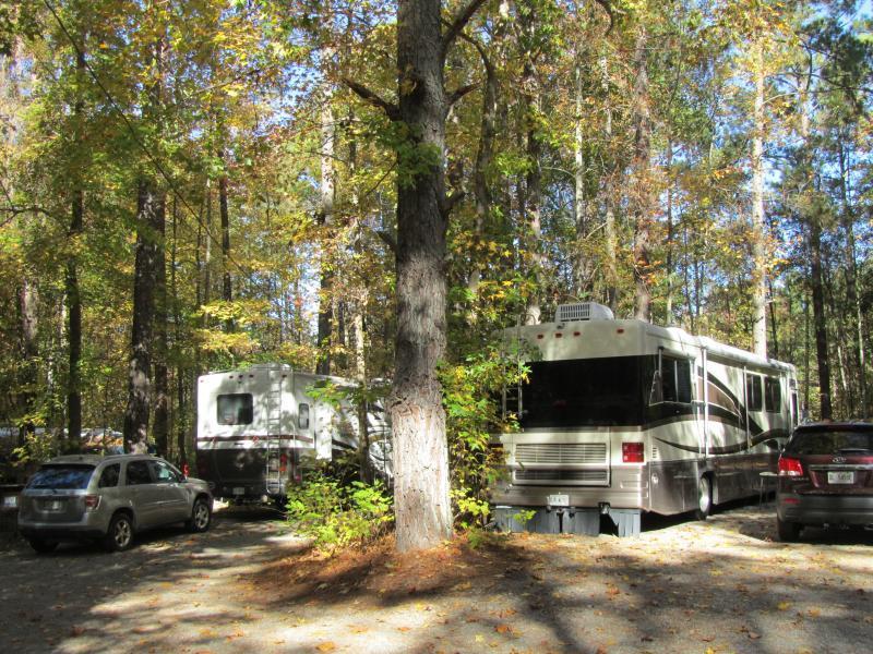 Pine Lake Rv Resort Wagram Nc 1