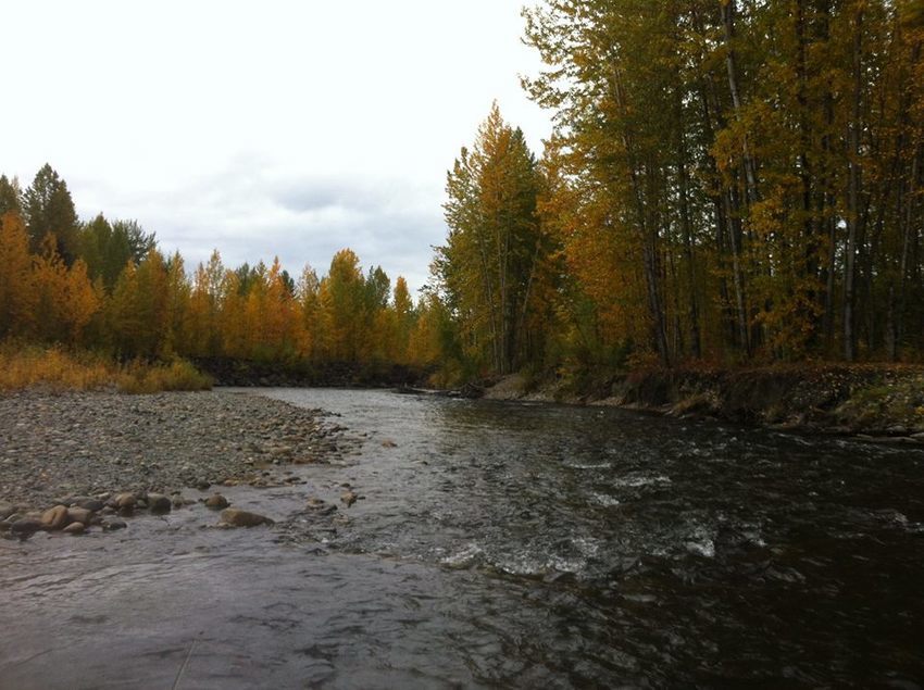 Montana Creek Campground Willow Ak 0