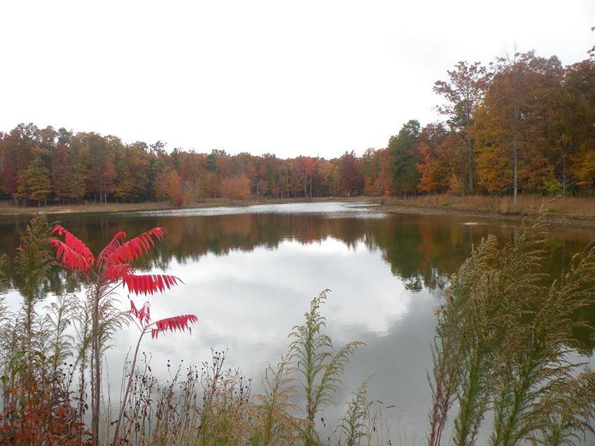 Serenity Campground   Lake Mentone Al 0