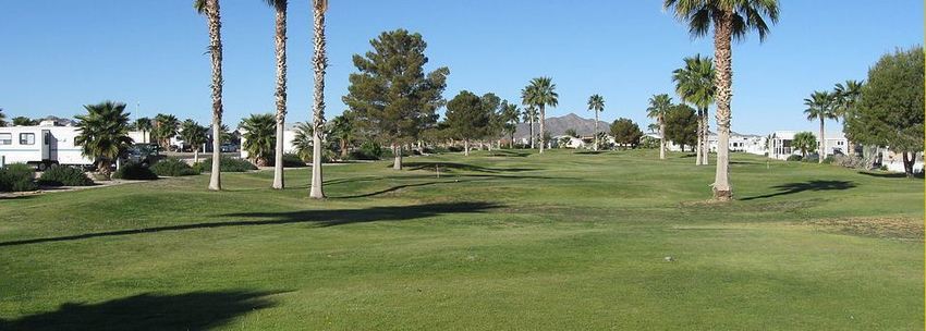 Desert Palms Golf   Rv Resort  55  Park  Salome Az 2