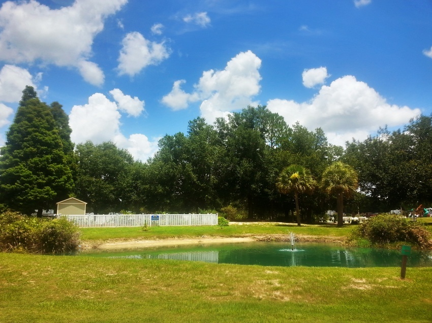 Orlando Rv Resort  Thousand Trails  Clermont Fl 0