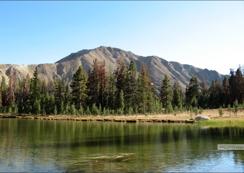 Smiley Creek Lodge Sawtooth City Id 0