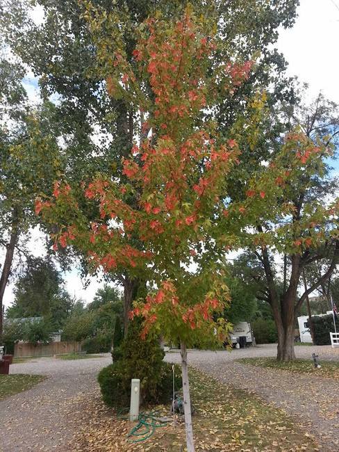 Trail Break Rv Park   Campground Glenns Ferry Id 5