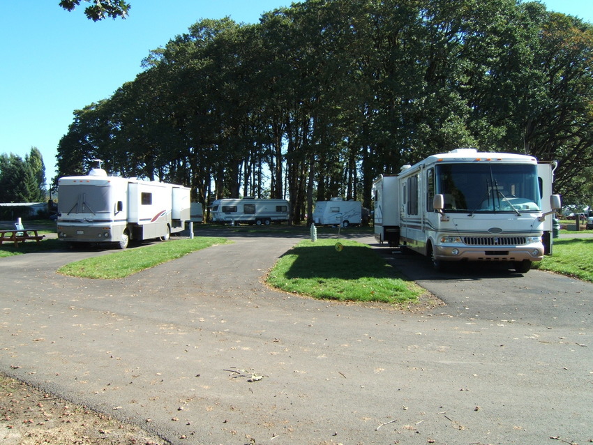 Benton Oaks Rv   Campground Corvallis Or 3