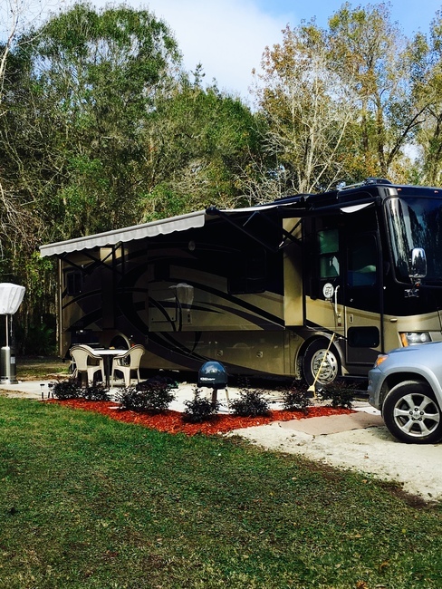 Compass Rv Park St  Augustine Fl 1