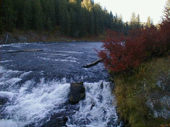 Buffalo Run Campground Island Park Id 3