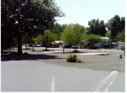 Meadowbrook Seniors Rv Park Perris Ca 0