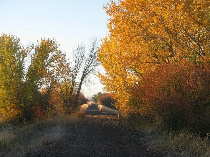 Weiser River Trail Rv Park Council Id 0