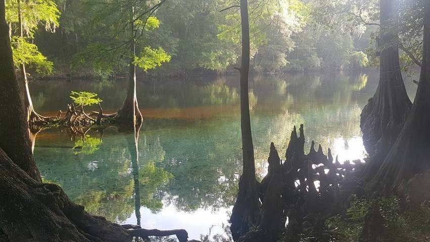 Ginnie Springs Outdoors High Springs Fl 3