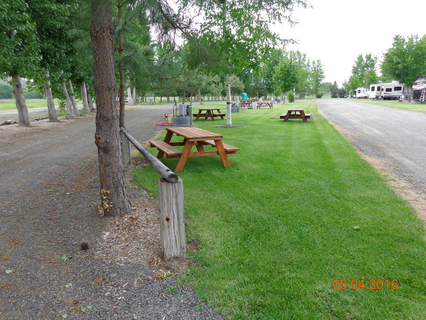 Yakima River Rv Park Ellensburg Wa 10