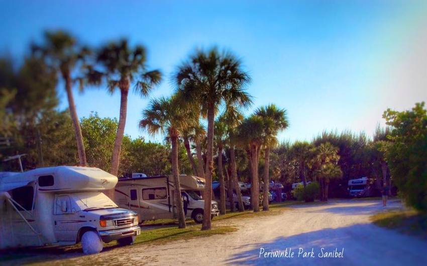 Periwinkle Park   Campground Sanibel Fl 0