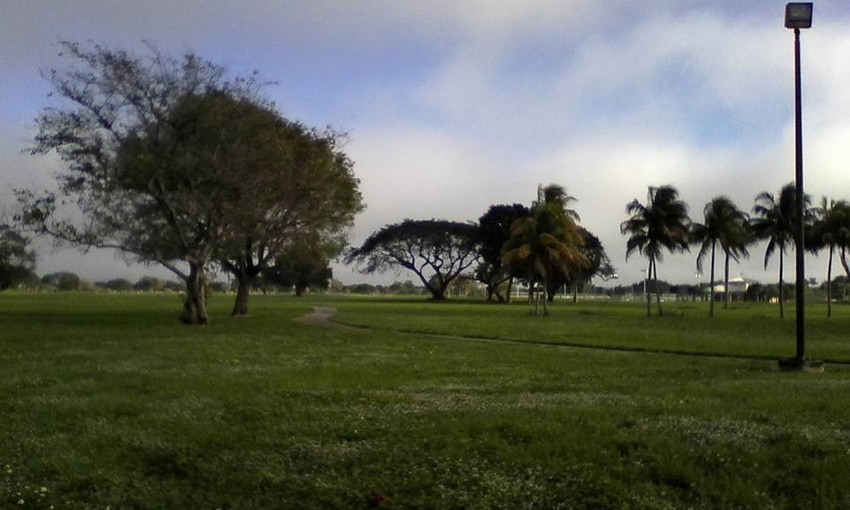 Pine Isle Park Homestead Fl 0