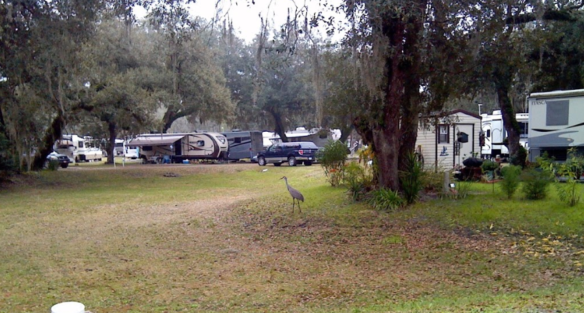 Sumter Oaks Rv Park Bushnell Fl 0