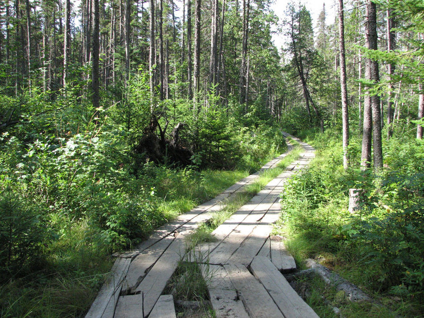 Cathedral Pines Campground Eustis Me 2