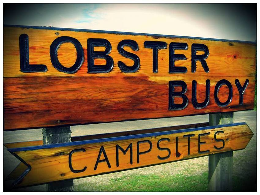 Lobster Buoy Campsite South Thomaston Me 5