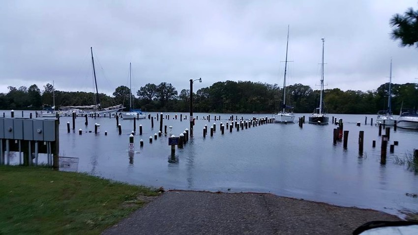 Dennis Point Campground And Marina Drayden Md 7