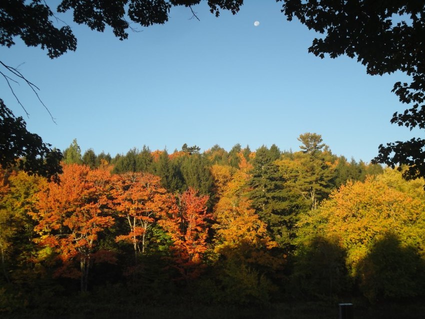 Pine Grove Campground And Cottages Medway Me 3