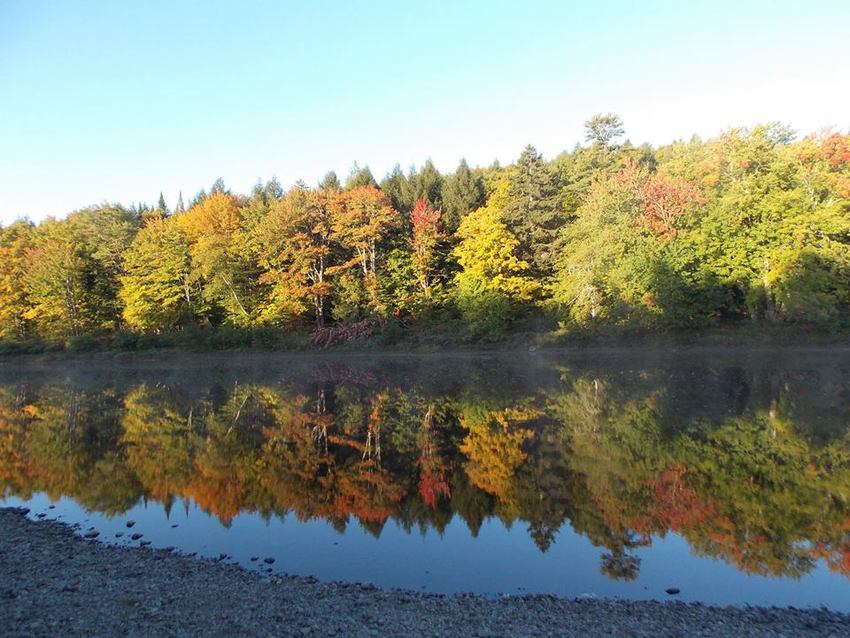 Pine Grove Campground And Cottages Medway Me 0