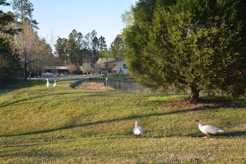 Country Side Rv Park Saucier Ms 1