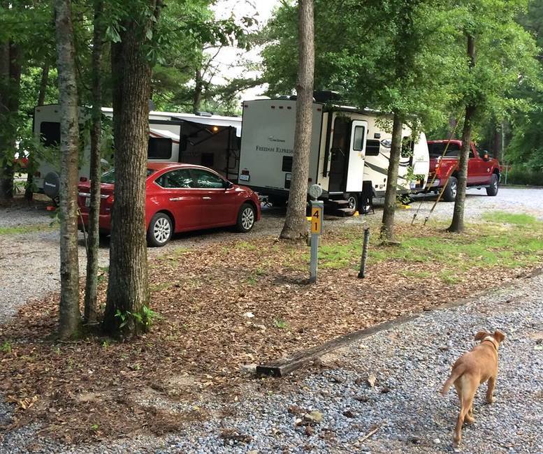 Sleepy Hallow Rv Park Laurel Ms 2