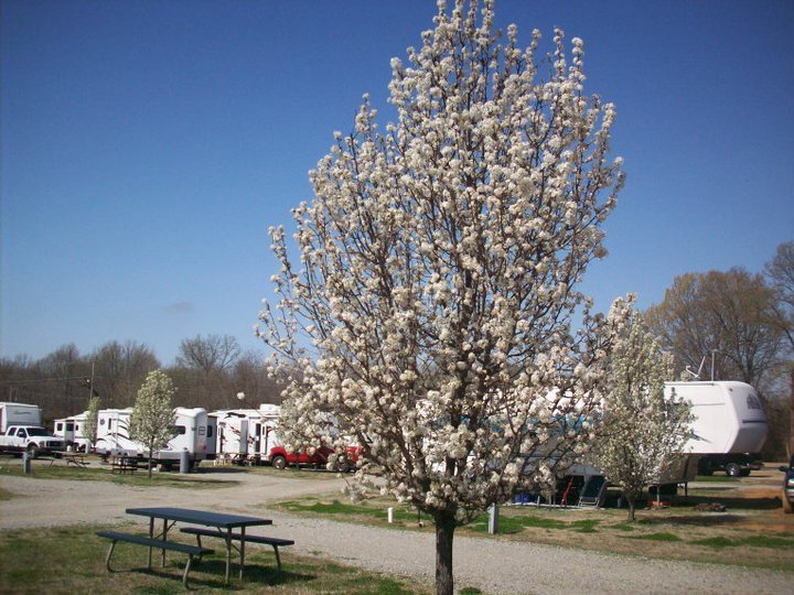 Memphis South Campground   Rv Park Coldwater Ms 0