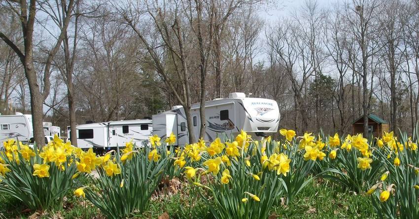 Pin Oak Creek Rv Park Villa Ridge Mo 4