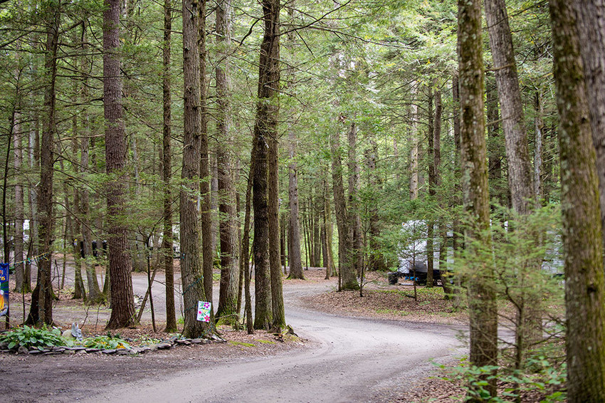 Rip Van Winkle Campground Saugerties Ny 2