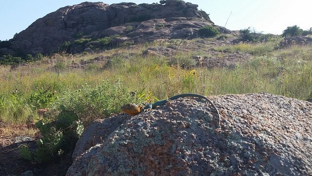 Doris Campground Lawton Ok 2