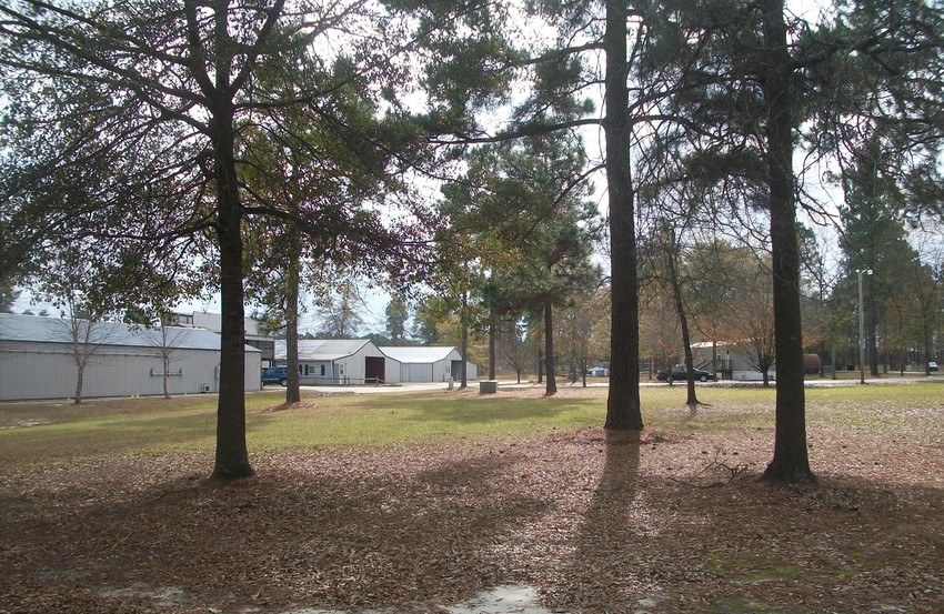 Edmund Rv Park Lexington Sc 5