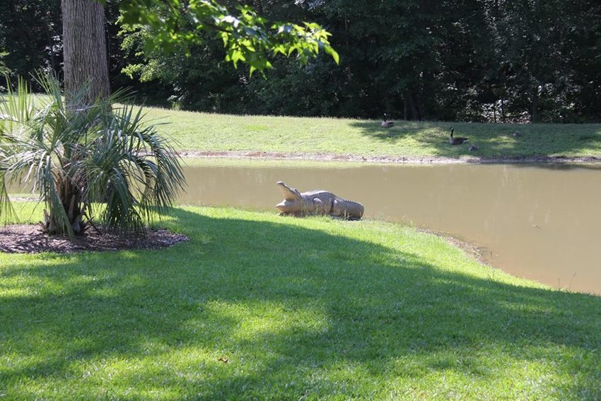 Little Cedar Creek Campground Ridgeway Sc 2