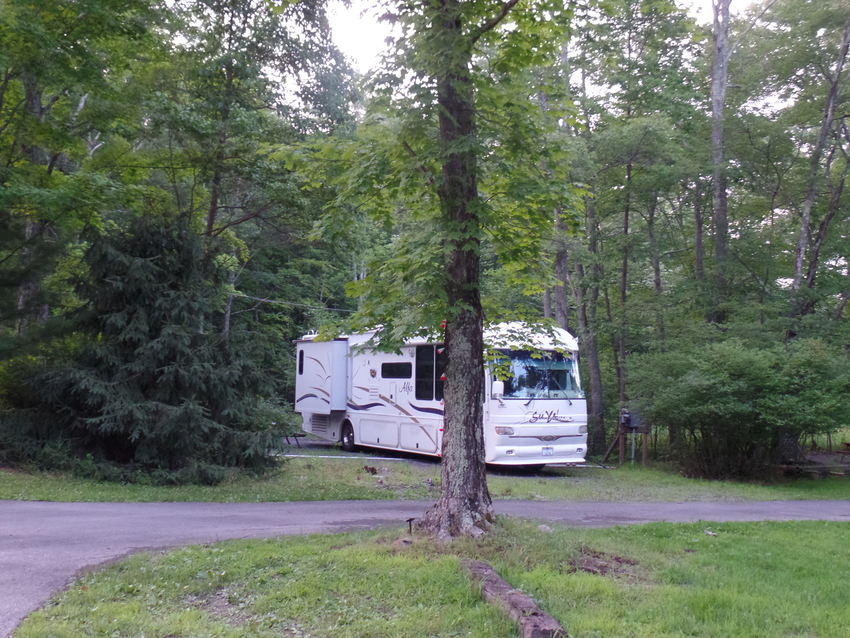 Sohi Campground Accord Ny 4