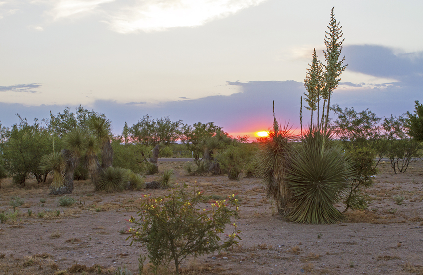 Low Hi Rv Ranch  Deming S Garden Gem Deming Nm 29