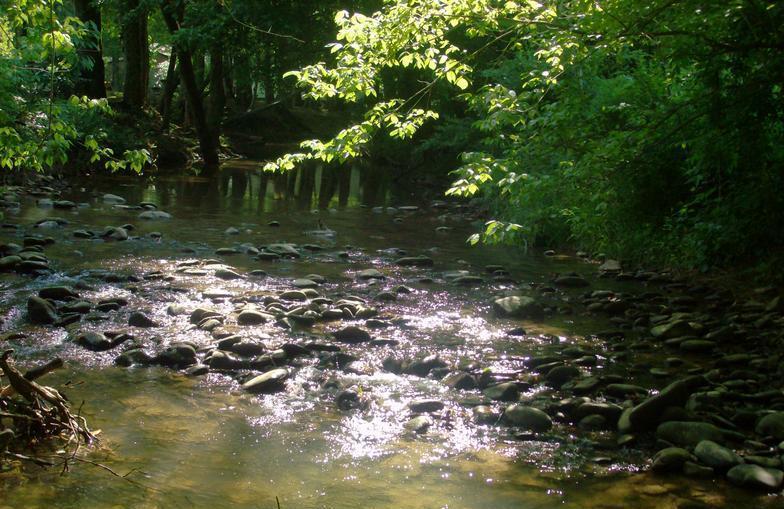 Triple Creek Campground Newport Tn 4