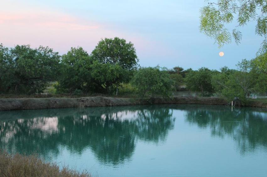 Cotulla Fish Hatchery   Rv Park Cotulla Tx 0