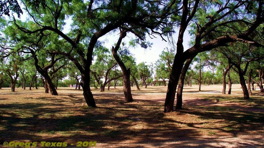 Lake Sweetwater Municipal Park Sweetwater Tx 0