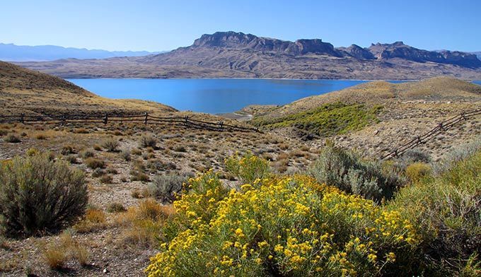 Cody Buffbill Reservoir Wildflowers Dp 680x392