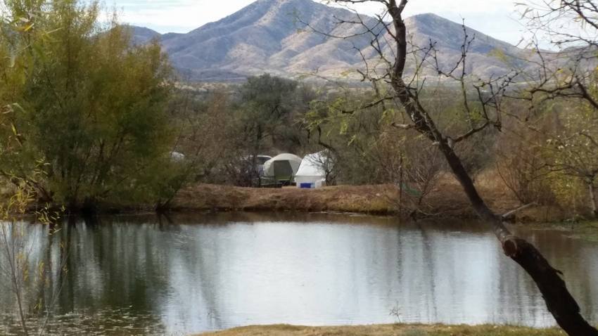 Tent And Pond