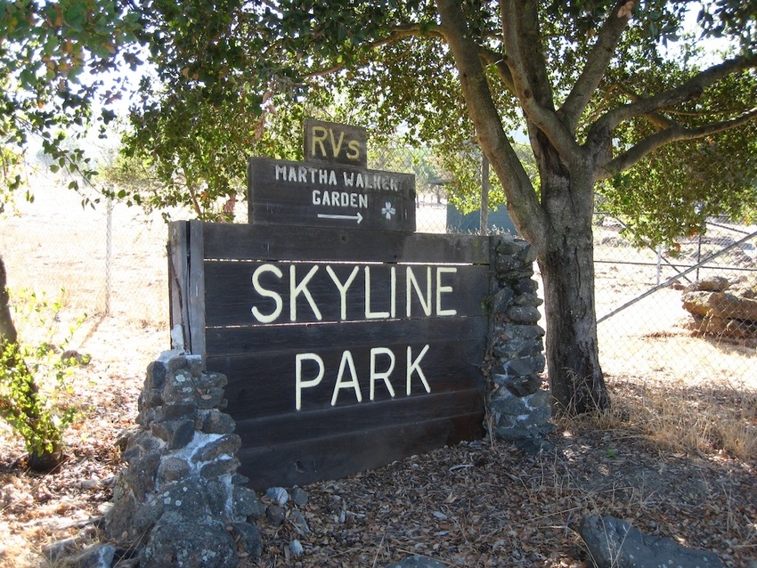 Skyline 11