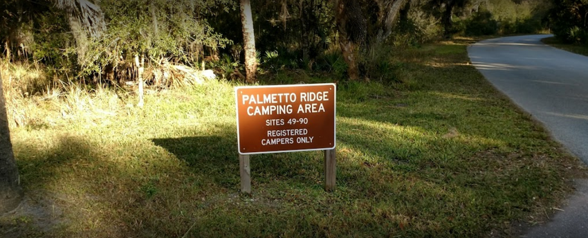 Palmetto0