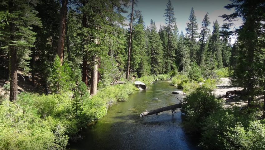 China Flat Campground 4