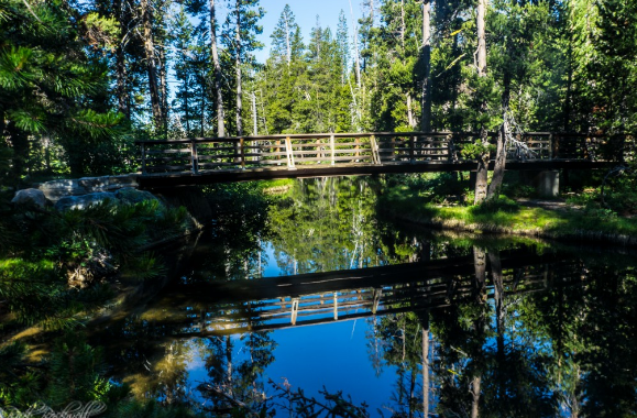 Wrights Lake Campground 1